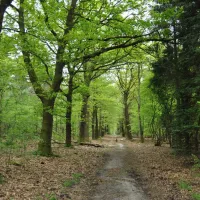 natuurkampeerterrein-nieuw-soerel-nunspeet-xpeme