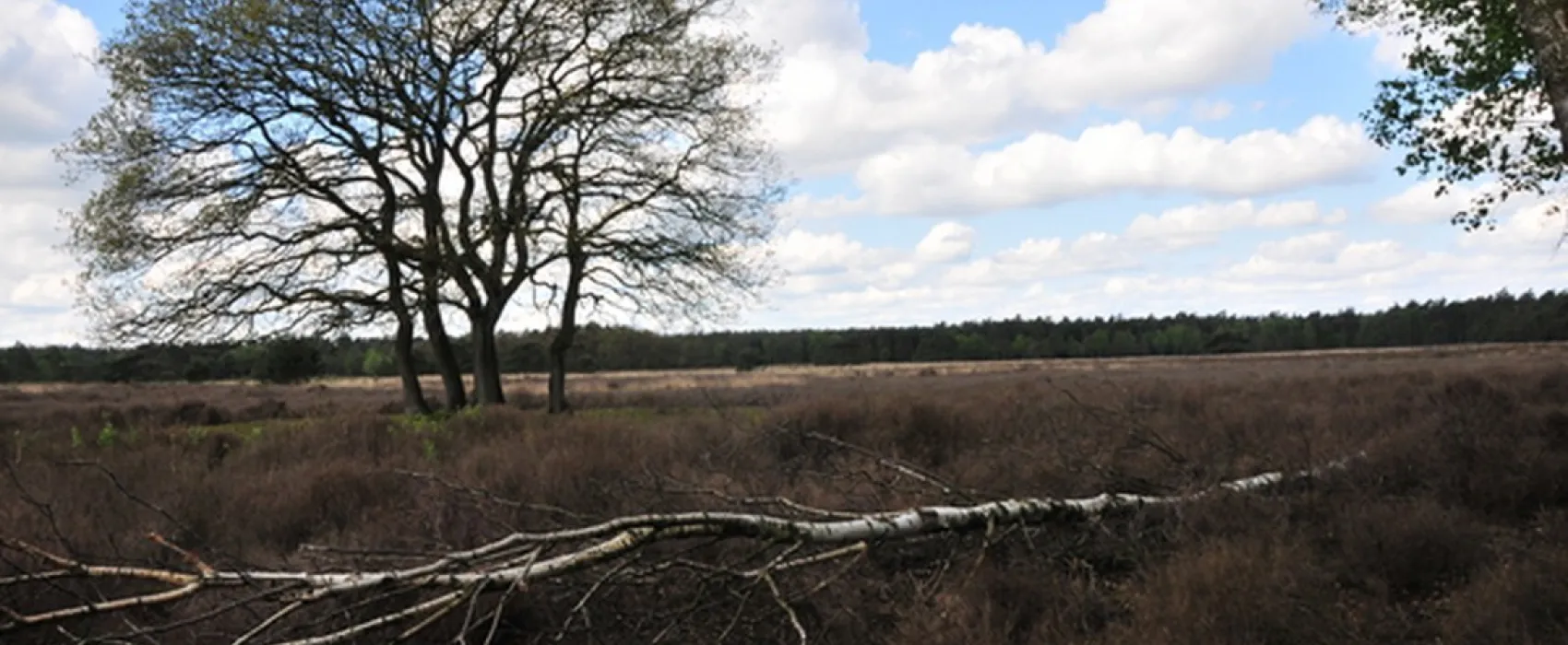 Natuurkampeerterrein Nieuw Soerel