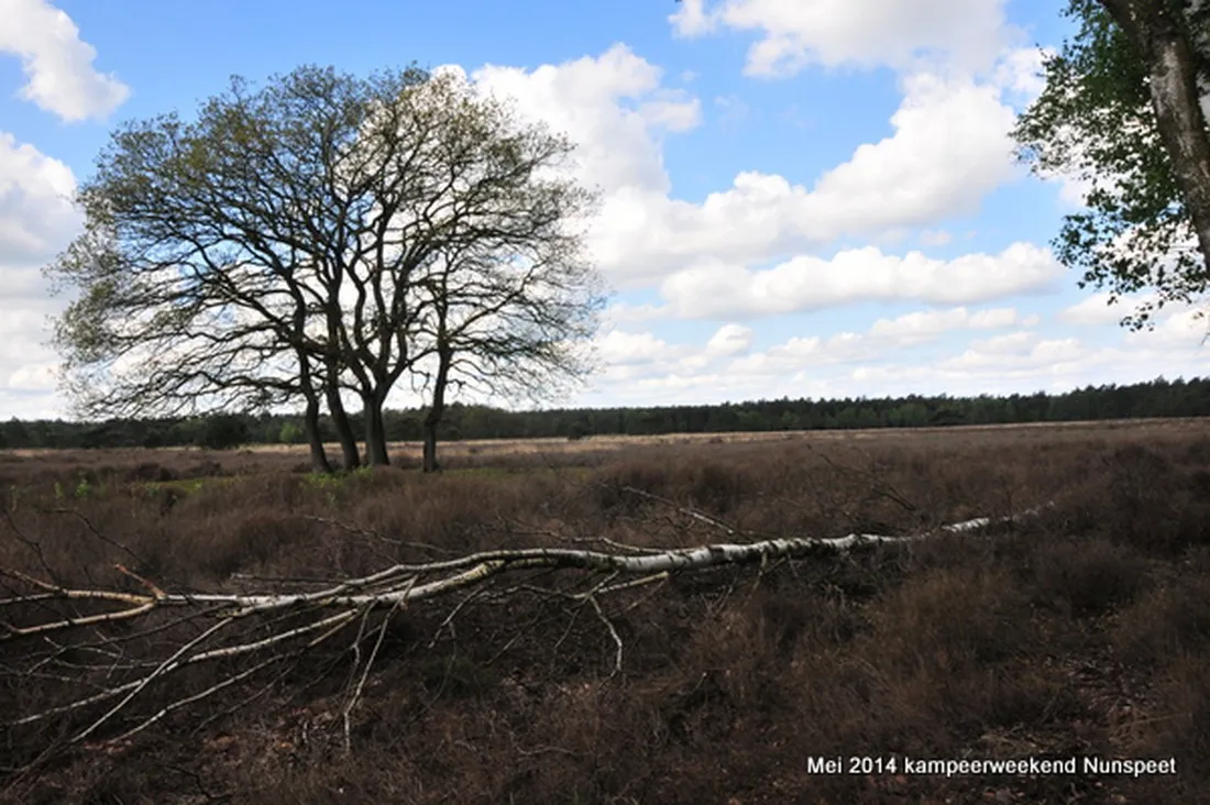 natuurkampeerterrein-nieuw-soerel-nunspeet-zzylr