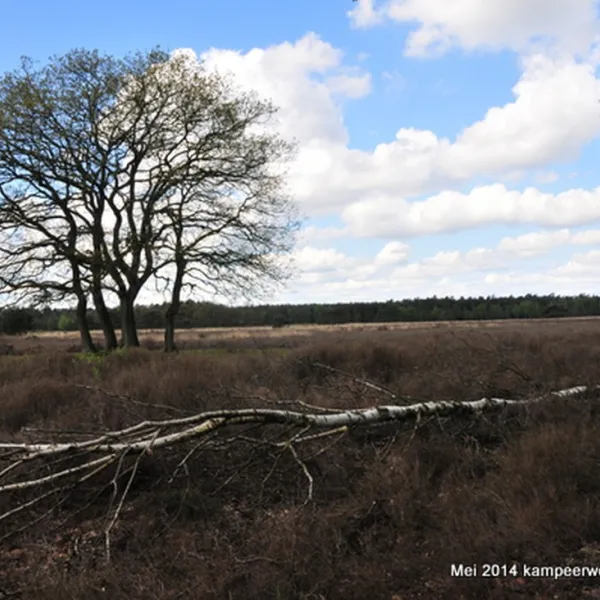 natuurkampeerterrein-nieuw-soerel-nunspeet-zzylr