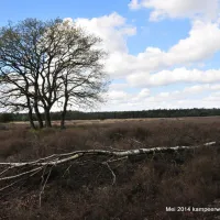 natuurkampeerterrein-nieuw-soerel-nunspeet-zzylr