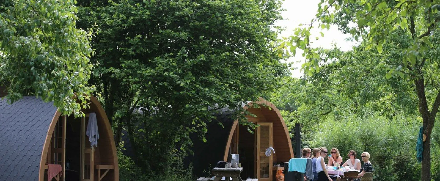 Natuurkampeerterrein de Haverkamp