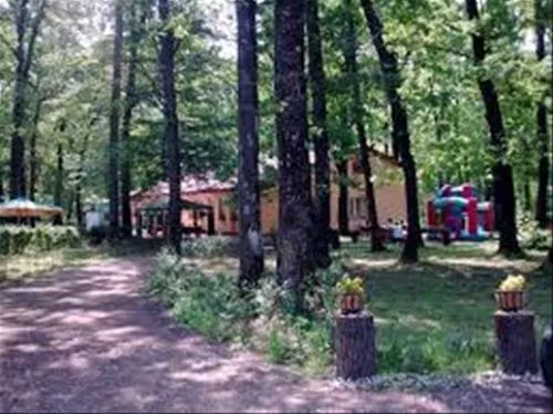 camping-forest-mirage-banesti-1e4wh