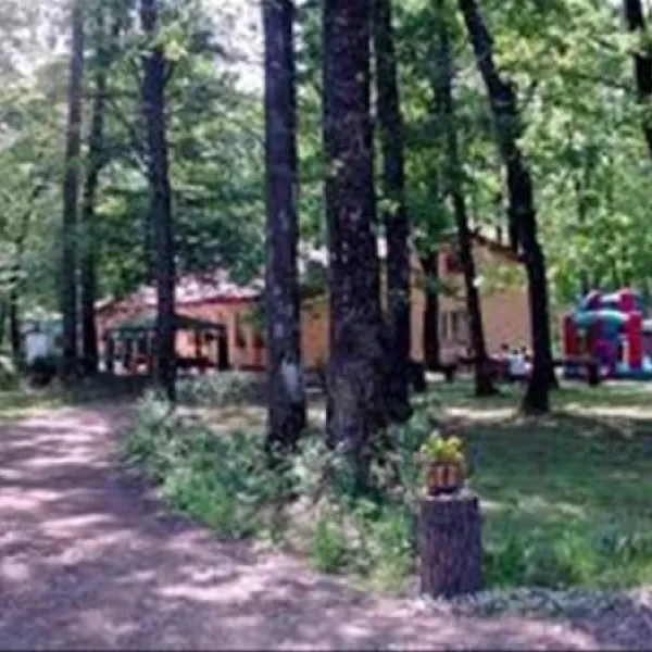 camping-forest-mirage-banesti-1e4wh