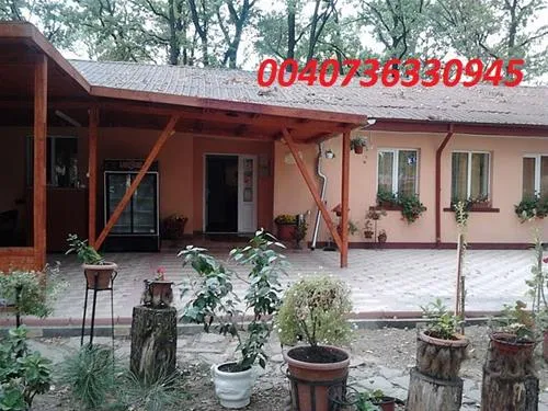 camping-forest-mirage-banesti-hx8j9