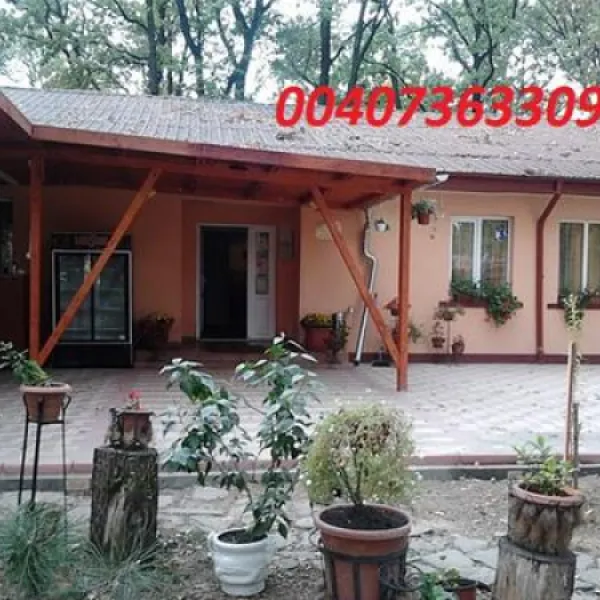camping-forest-mirage-banesti-hx8j9