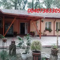 camping-forest-mirage-banesti-hx8j9