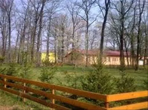 camping-forest-mirage-banesti-r8cm1