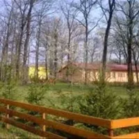 Camping Forest Mirage