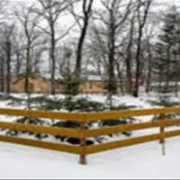 camping-forest-mirage-banesti-tdpsn