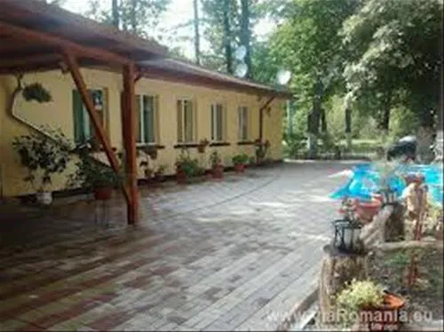 camping-forest-mirage-banesti-zpyva