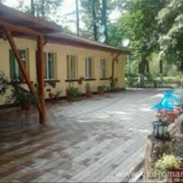 camping-forest-mirage-banesti-zpyva