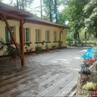 camping-forest-mirage-banesti-zpyva