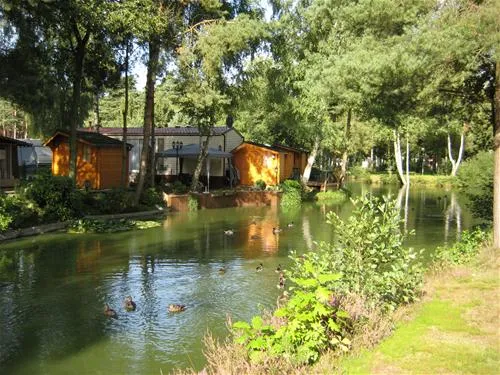 camping-zavelbos-opoeteren-nnut4