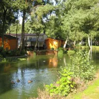camping-zavelbos-opoeteren-nnut4