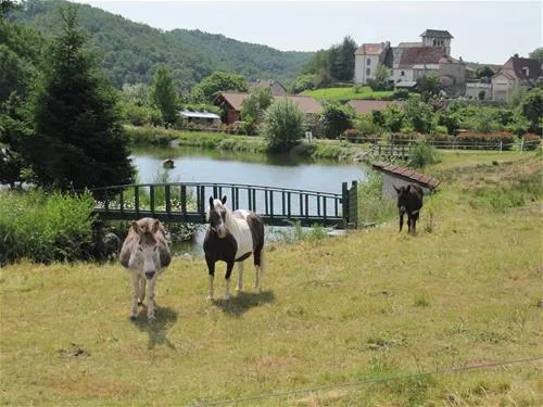 ferme-de-viescamp-pers-6x0tj