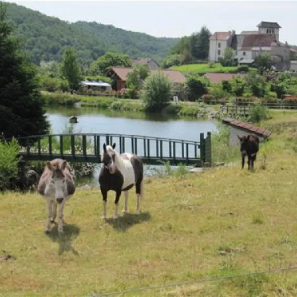 ferme-de-viescamp-pers-6x0tj