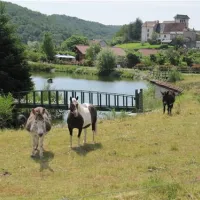 ferme-de-viescamp-pers-6x0tj