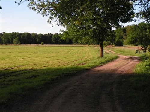 camping-am-waldbad-ebstorf-yj86n
