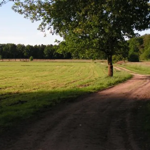 camping-am-waldbad-ebstorf-yj86n