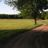 camping-am-waldbad-ebstorf-yj86n
