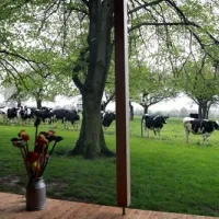 miominicamping-ottendorf-lichtenau-0us4h