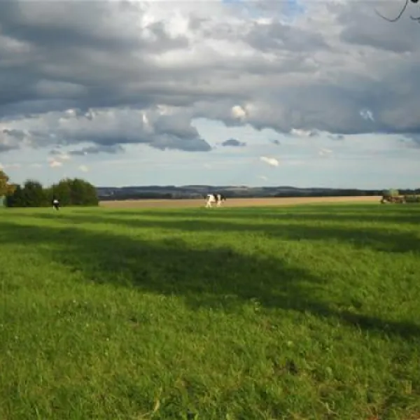 miominicamping-ottendorf-lichtenau-jbmeu