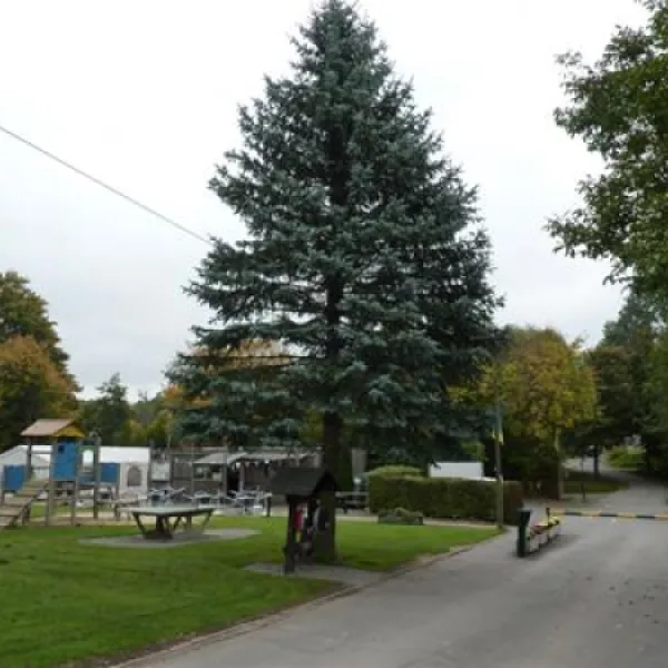 campingplatz-ferienpark-teutoburgerwald-barntrup-barntrup-hfxdy