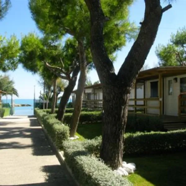 camping-villaggio-calypso-cupra-marittima-x8qn0