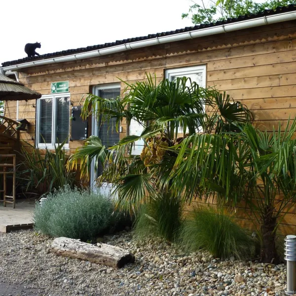 camping-le-tahiti-st-palais-sur-mer-p35nu