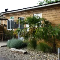 camping-le-tahiti-st-palais-sur-mer-p35nu