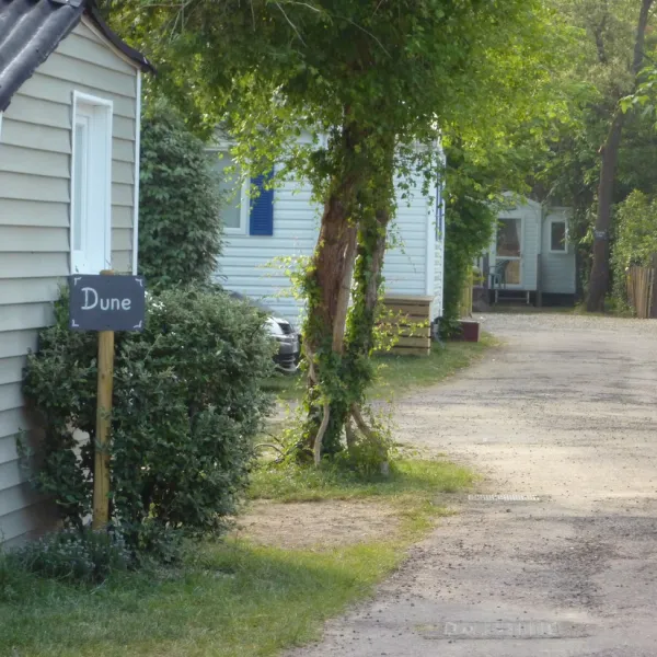 camping-le-tahiti-st-palais-sur-mer-tgntj