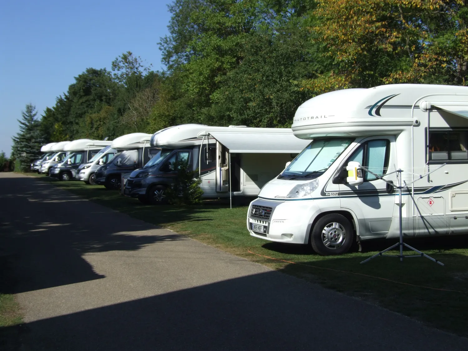 camping-waldpark-hohenstadt-hohenstadt-elmjo