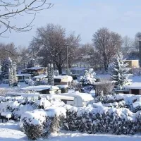 Camping Waldpark Hohenstadt