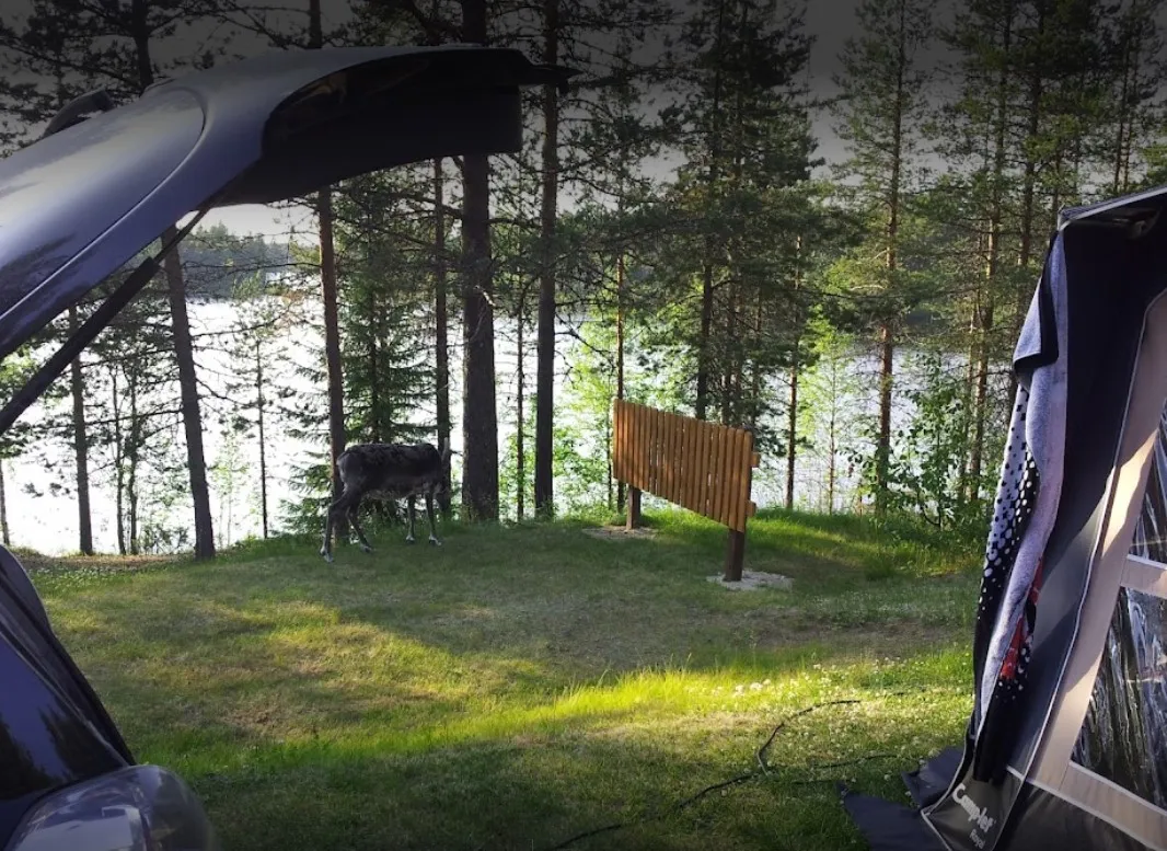 rantatropiikki-camping-kuusamo-cnoia