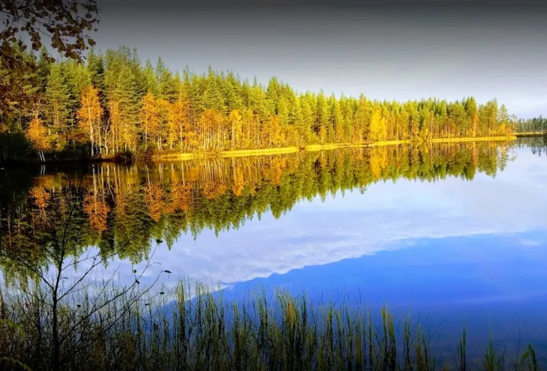 rantatropiikki-camping-kuusamo-ubjej