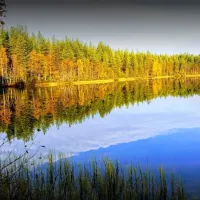 rantatropiikki-camping-kuusamo-ubjej