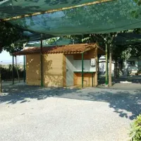 camping-los-naranjos-moncofa-begei