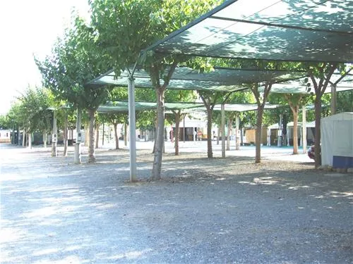 camping-los-naranjos-moncofa-gvoxa