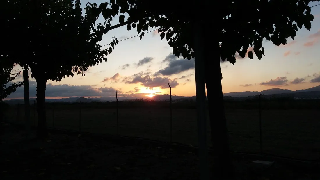 camping-los-naranjos-moncofa-k0lth