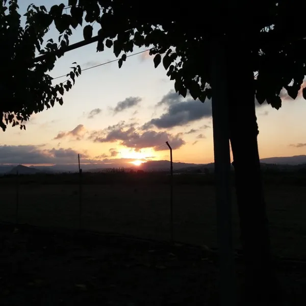 camping-los-naranjos-moncofa-k0lth