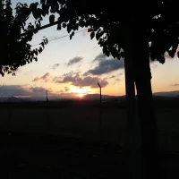 camping-los-naranjos-moncofa-k0lth