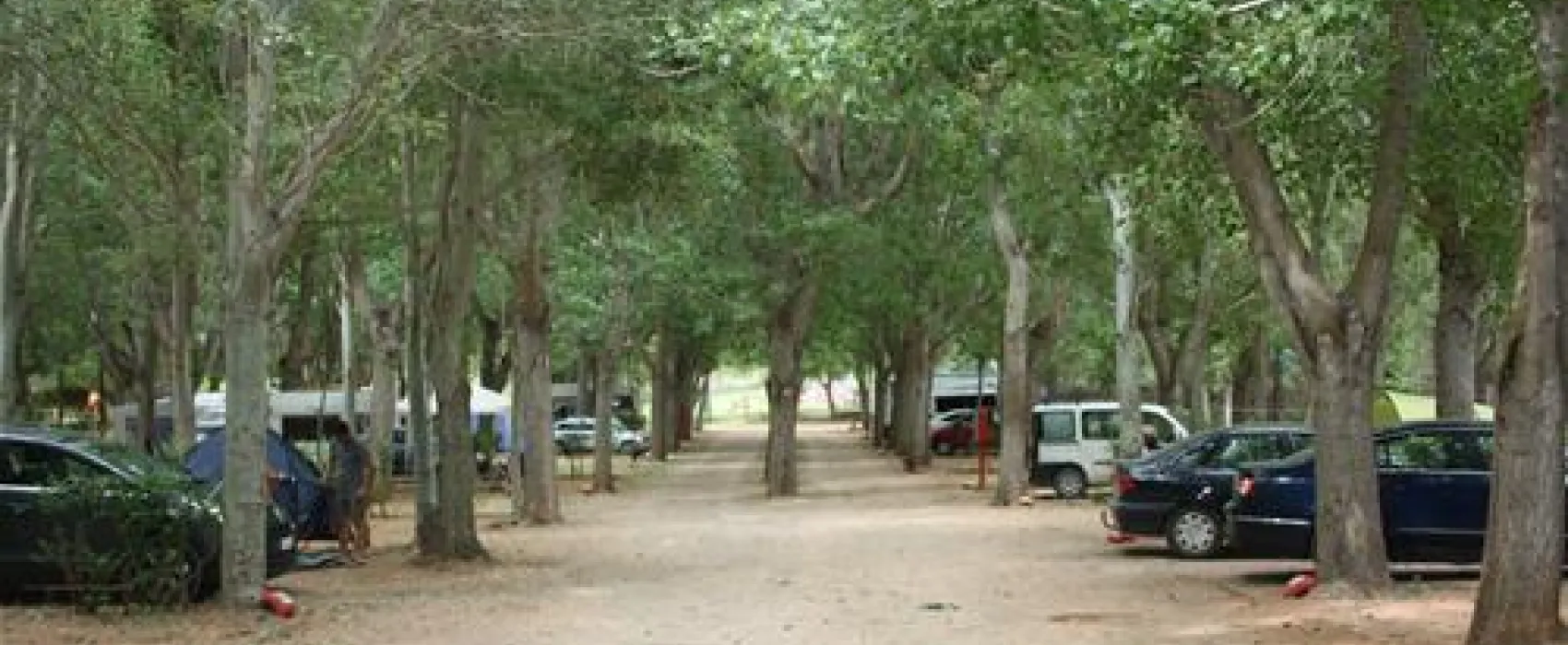Camping Montesinos