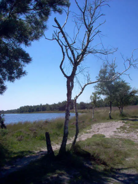 camping-de-heibloem-diessen-7ff46
