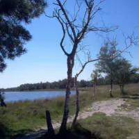 camping-de-heibloem-diessen-7ff46