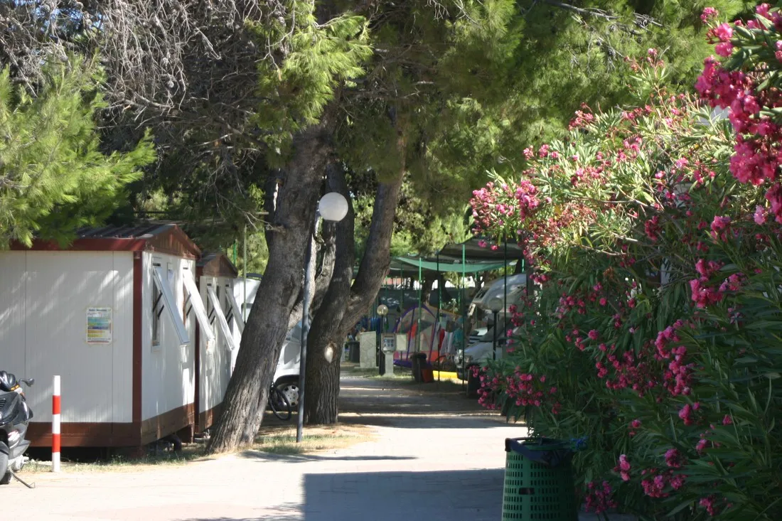 camping-spiaggia-lunga-santa-maria-di-merino-bei-vieste-ndgap