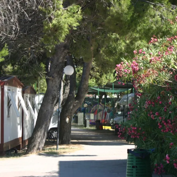 camping-spiaggia-lunga-santa-maria-di-merino-bei-vieste-ndgap