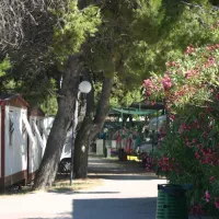 camping-spiaggia-lunga-santa-maria-di-merino-bei-vieste-ndgap
