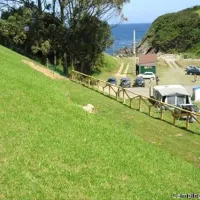 Camping Bahinas