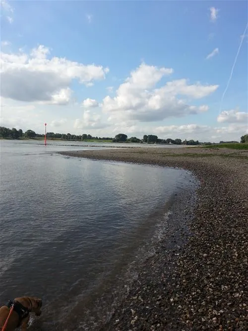 campingplatzrheinblick-monheim-am-rhein-v67ou